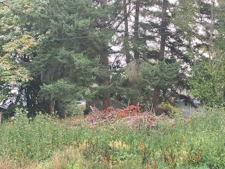 Picture of Point Roberts Parcel Number 405301-039456